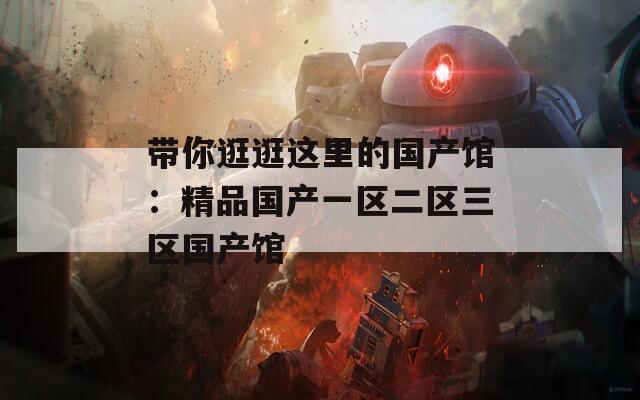 带你逛逛这里的国产馆：精品国产一区二区三区国产馆