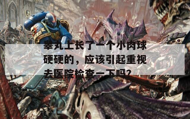 睾丸上长了一个小肉球硬硬的，应该引起重视去医院检查一下吗？