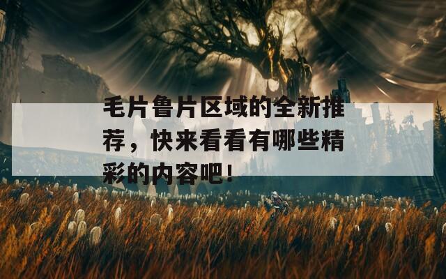 毛片鲁片区域的全新推荐，快来看看有哪些精彩的内容吧！
