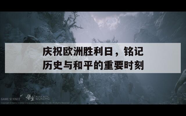 庆祝欧洲胜利日，铭记历史与和平的重要时刻