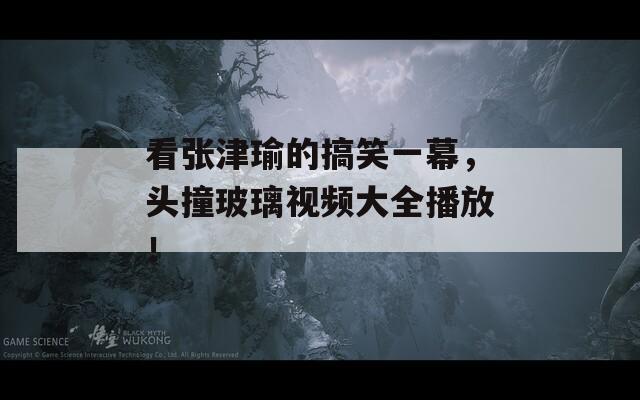 看张津瑜的搞笑一幕，头撞玻璃视频大全播放！