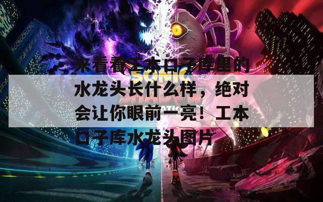 来看看工本口子库里的水龙头长什么样，绝对会让你眼前一亮！工本口子库水龙头图片