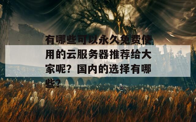 有哪些可以永久免费使用的云服务器推荐给大家呢？国内的选择有哪些？