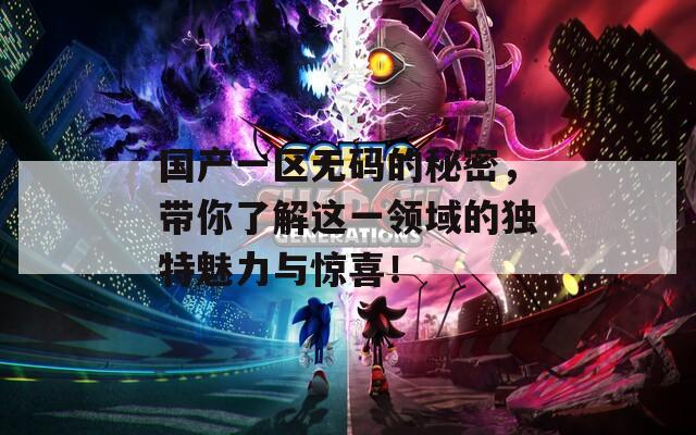 国产一区无码的秘密，带你了解这一领域的独特魅力与惊喜！