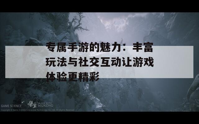 专属手游的魅力：丰富玩法与社交互动让游戏体验更精彩