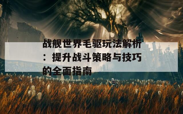 战舰世界毛驱玩法解析：提升战斗策略与技巧的全面指南
