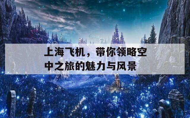 上海飞机，带你领略空中之旅的魅力与风景