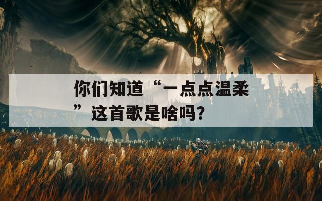 你们知道“一点点温柔”这首歌是啥吗？