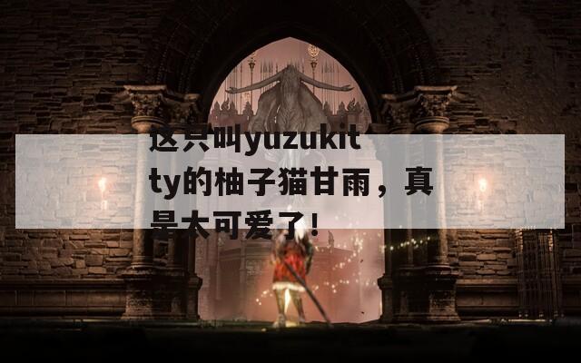 这只叫yuzukitty的柚子猫甘雨，真是太可爱了！