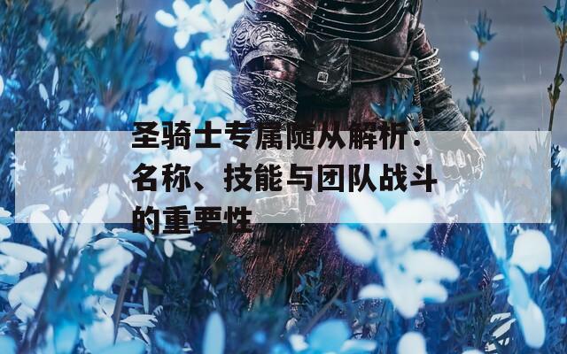 圣骑士专属随从解析：名称、技能与团队战斗的重要性
