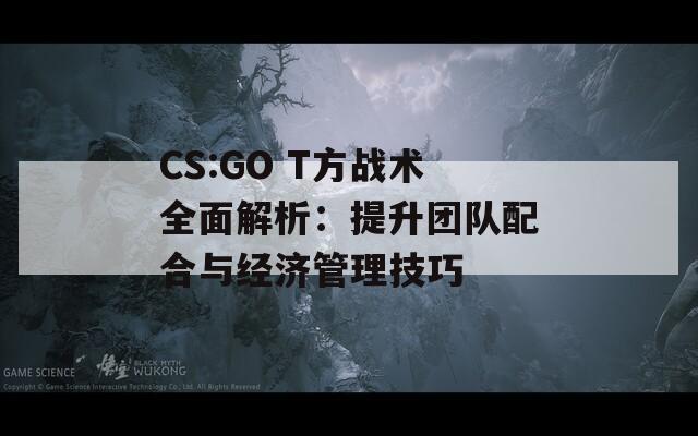 CS:GO T方战术全面解析：提升团队配合与经济管理技巧