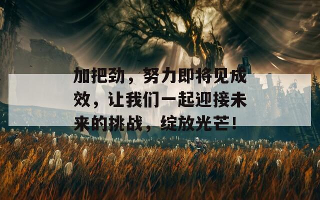 加把劲，努力即将见成效，让我们一起迎接未来的挑战，绽放光芒！