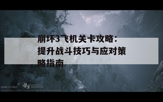 崩坏3飞机关卡攻略：提升战斗技巧与应对策略指南