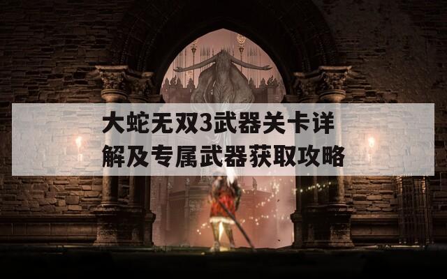 大蛇无双3武器关卡详解及专属武器获取攻略