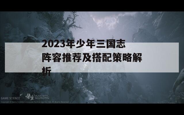 2023年少年三国志阵容推荐及搭配策略解析