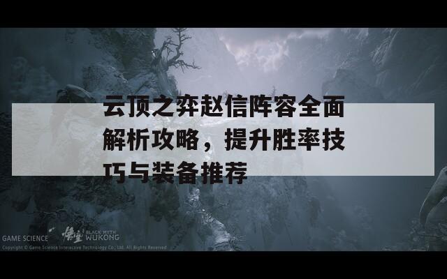 云顶之弈赵信阵容全面解析攻略，提升胜率技巧与装备推荐
