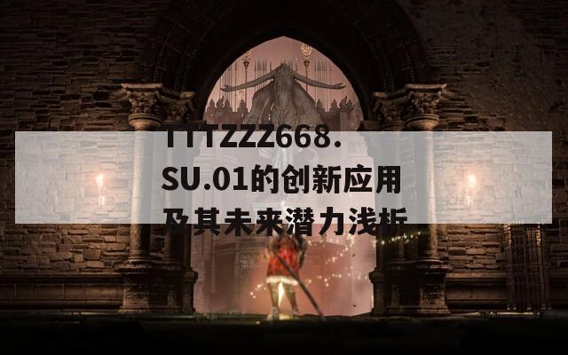 TTTZZZ668.SU.01的创新应用及其未来潜力浅析