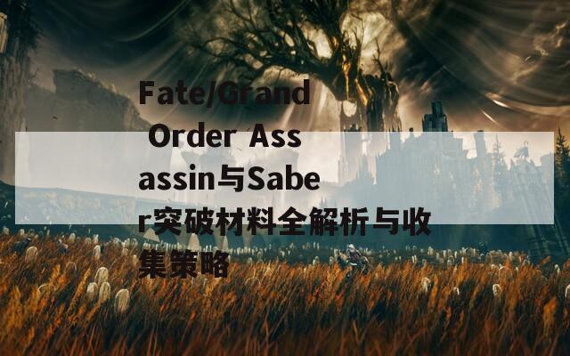 Fate/Grand Order Assassin与Saber突破材料全解析与收集策略