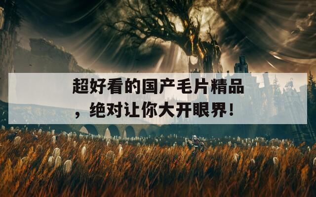 超好看的国产毛片精品，绝对让你大开眼界！