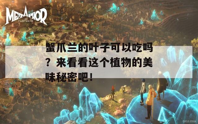蟹爪兰的叶子可以吃吗？来看看这个植物的美味秘密吧！