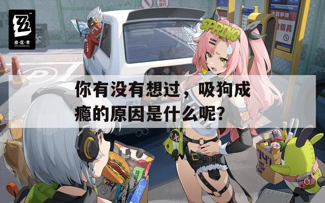 你有没有想过，吸狗成瘾的原因是什么呢？