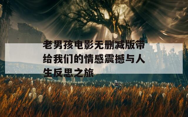老男孩电影无删减版带给我们的情感震撼与人生反思之旅