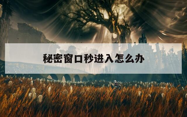 秘密窗口秒进入怎么办