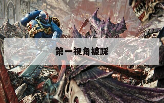 第一视角被踩