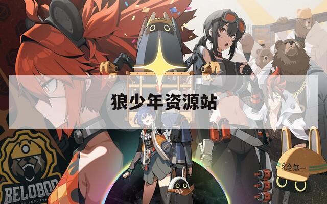 狼少年资源站