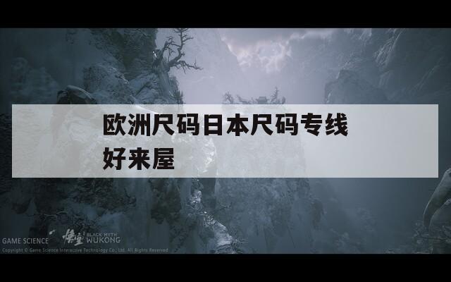 欧洲尺码日本尺码专线好来屋