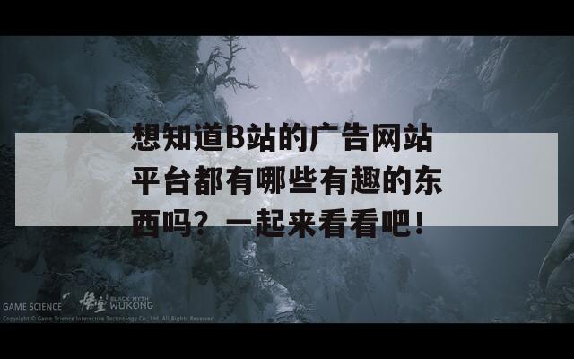 想知道B站的广告网站平台都有哪些有趣的东西吗？一起来看看吧！
