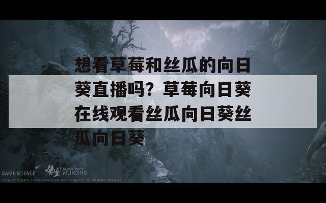 想看草莓和丝瓜的向日葵直播吗？草莓向日葵在线观看丝瓜向日葵丝瓜向日葵