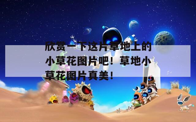 欣赏一下这片草地上的小草花图片吧！草地小草花图片真美！
