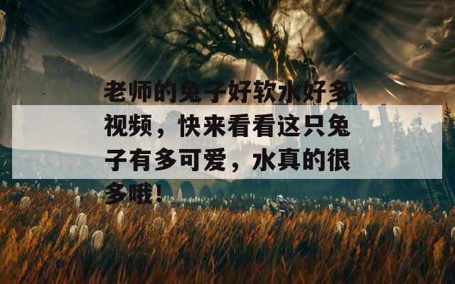 老师的兔子好软水好多视频，快来看看这只兔子有多可爱，水真的很多哦！