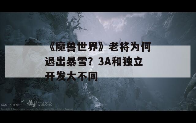 《魔兽世界》老将为何退出暴雪？3A和独立开发大不同