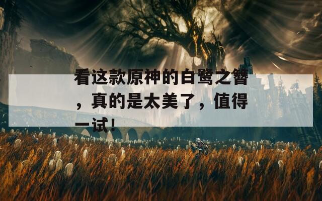 看这款原神的白鹭之簪，真的是太美了，值得一试！