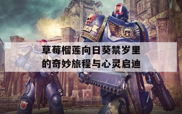 草莓榴莲向日葵禁岁里的奇妙旅程与心灵启迪