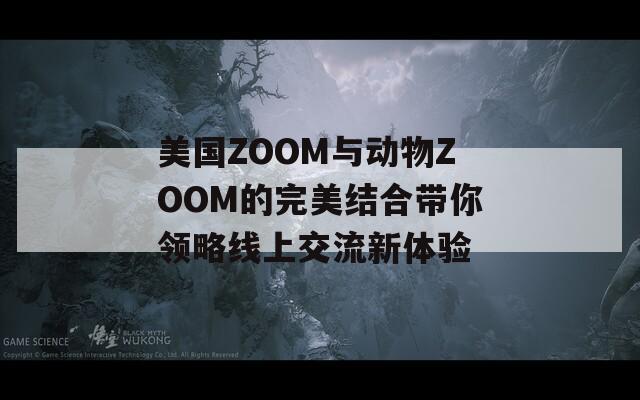 美国ZOOM与动物ZOOM的完美结合带你领略线上交流新体验