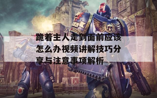 跪着主人走到面前应该怎么办视频讲解技巧分享与注意事项解析