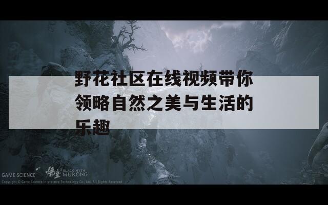 野花社区在线视频带你领略自然之美与生活的乐趣