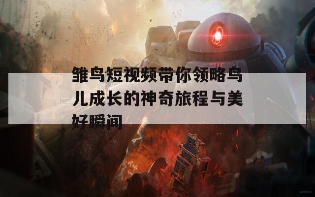 雏鸟短视频带你领略鸟儿成长的神奇旅程与美好瞬间