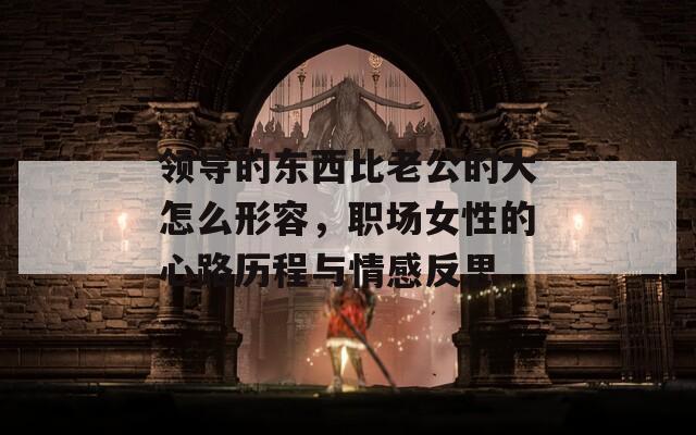 领导的东西比老公的大怎么形容，职场女性的心路历程与情感反思