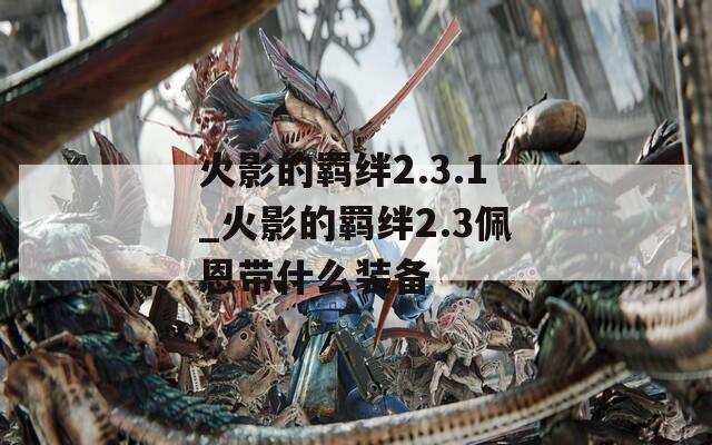 火影的羁绊2.3.1_火影的羁绊2.3佩恩带什么装备