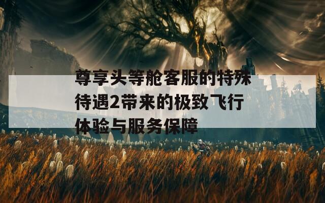 尊享头等舱客服的特殊待遇2带来的极致飞行体验与服务保障