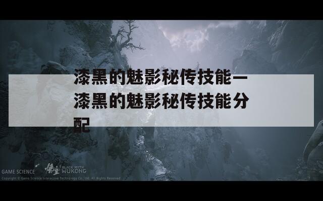 漆黑的魅影秘传技能—漆黑的魅影秘传技能分配