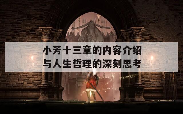 小芳十三章的内容介绍与人生哲理的深刻思考