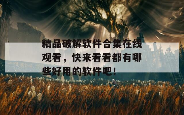 精品破解软件合集在线观看，快来看看都有哪些好用的软件吧！