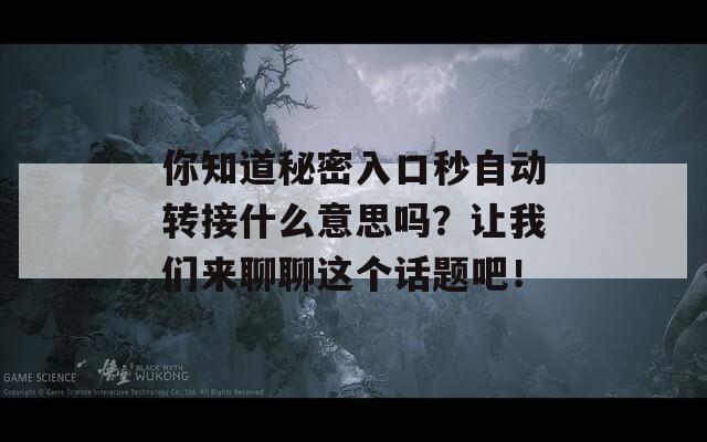 你知道秘密入口秒自动转接什么意思吗？让我们来聊聊这个话题吧！