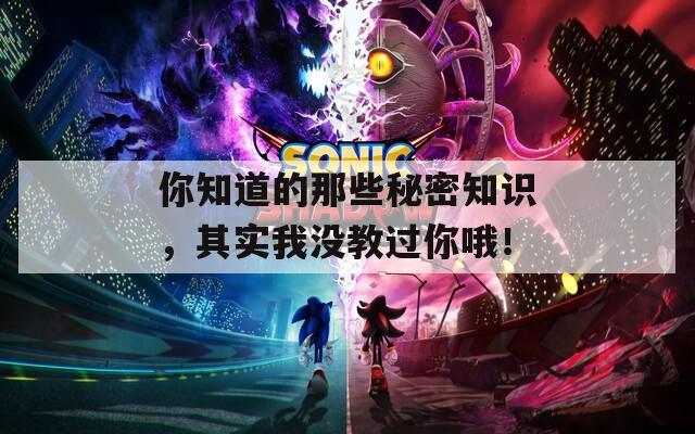 你知道的那些秘密知识，其实我没教过你哦！
