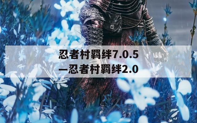 忍者村羁绊7.0.5—忍者村羁绊2.0